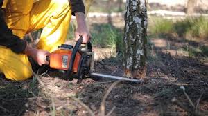 Best Lawn Irrigation Installation and Maintenance  in Summit Park, UT